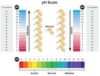 pH Adjustment Dosage Charts